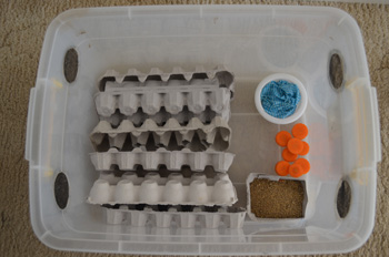 Cricket King - How to store your crickets, Cricket Storage